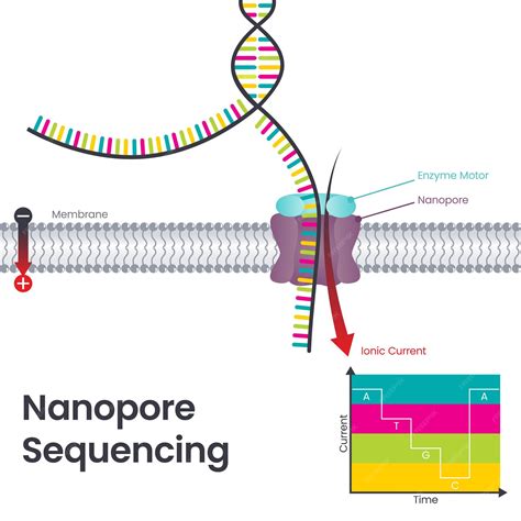 nanoporno|'nano' Search .